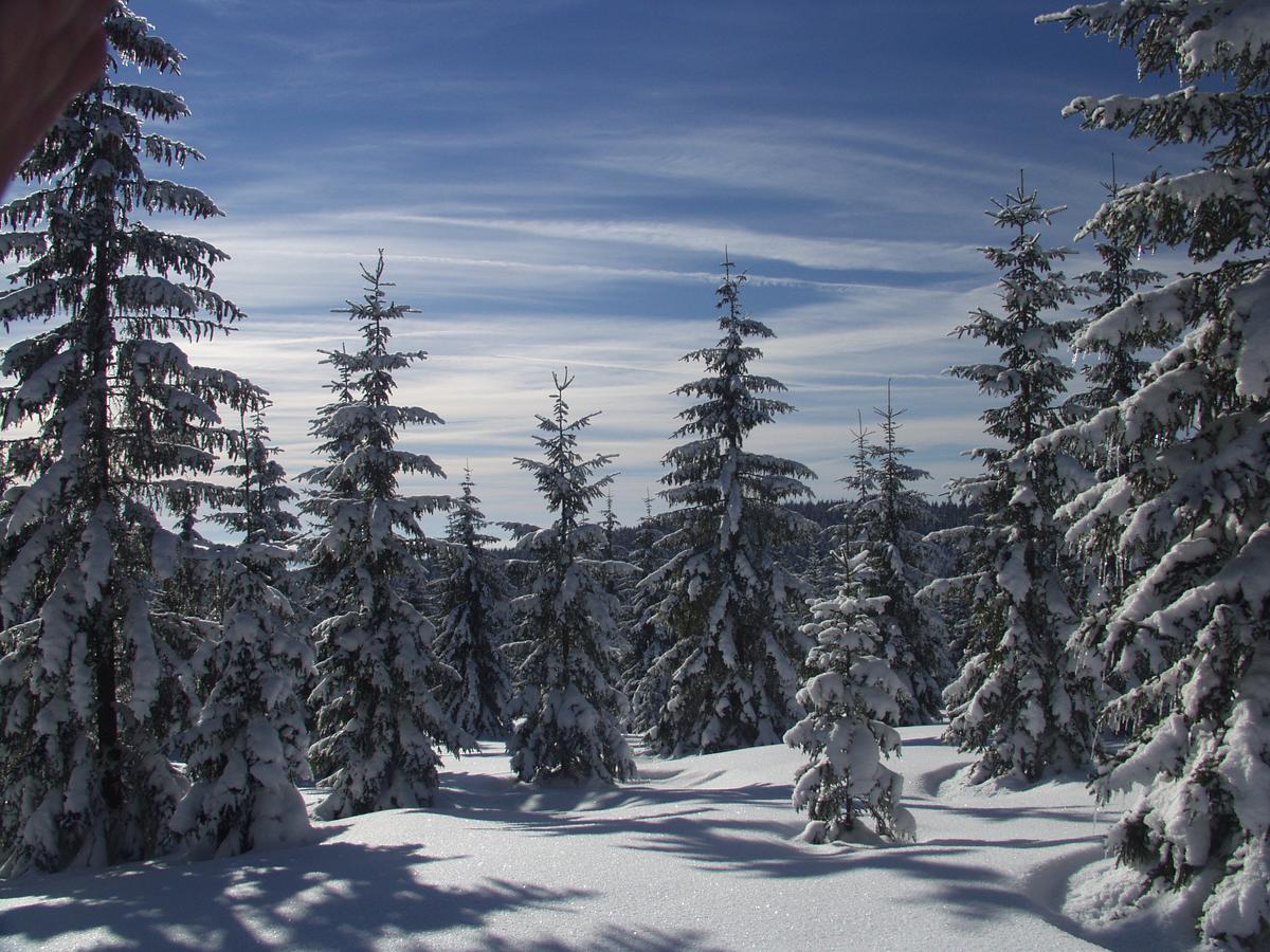 Penzion U Candru Vyssi Brod Exterior foto